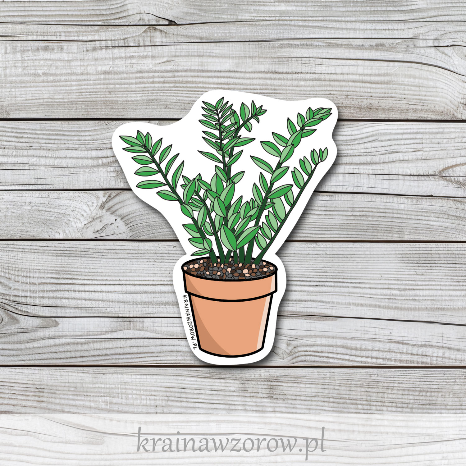 0010-zamiokulkas-w-doniczce-naklejka-pojedyncze-krainawzorow-pl 0010-zamiokulkas-w-doniczce-naklejka-pojedyncze-krainawzorow-pl