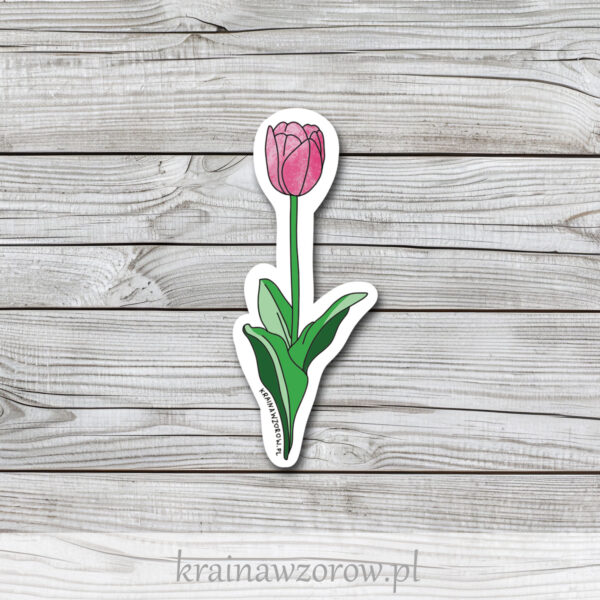 0014-tulipan-naklejka-pojedyncze-krainawzorow-pl