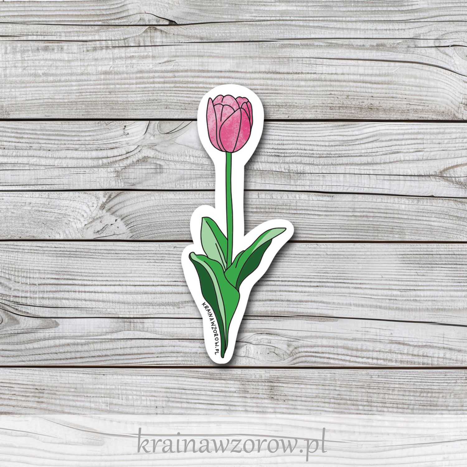 0014-tulipan-naklejka-pojedyncze-krainawzorow-pl 0014-tulipan-naklejka-pojedyncze-krainawzorow-pl