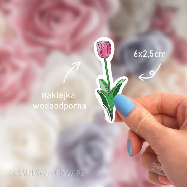 tulipan-naklejka-kraina-wzorow-wielkosc