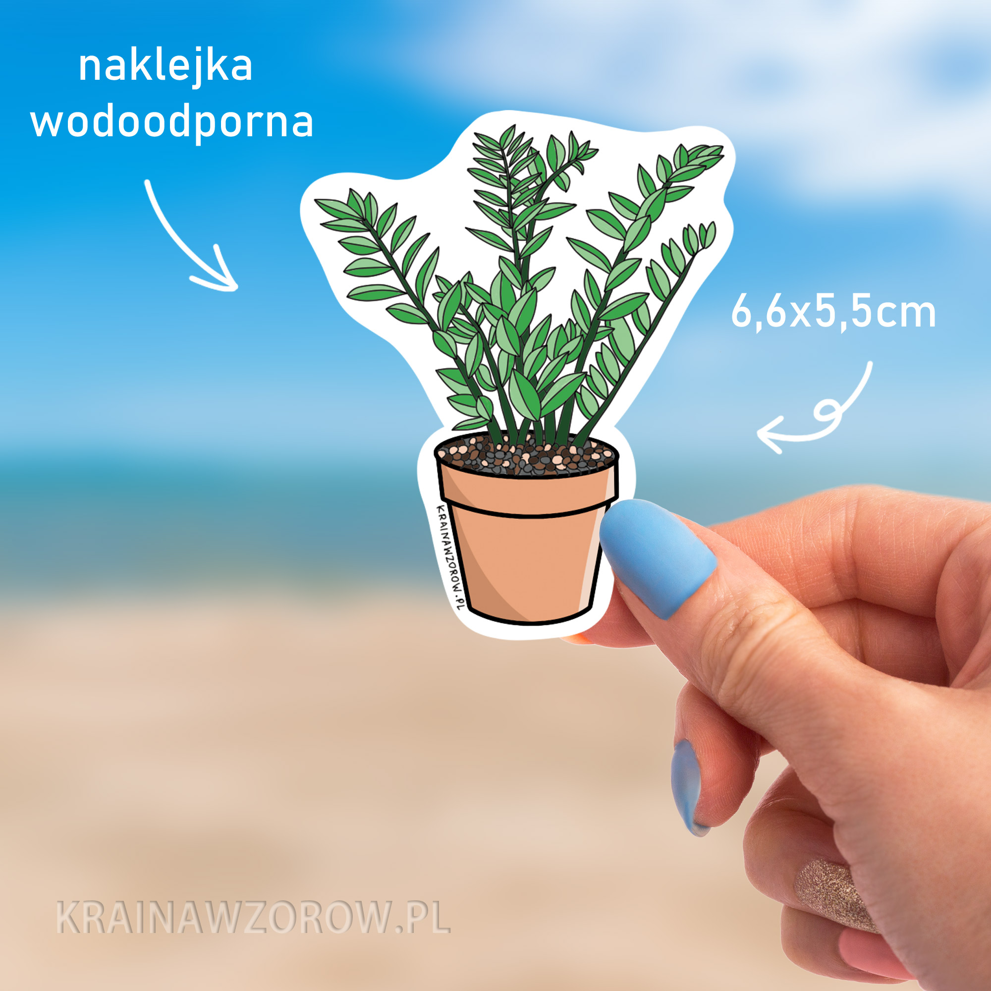 zamiokulkas-naklejka-kraina-wzorow-perspektywa zamiokulkas-naklejka-kraina-wzorow-wielkosc