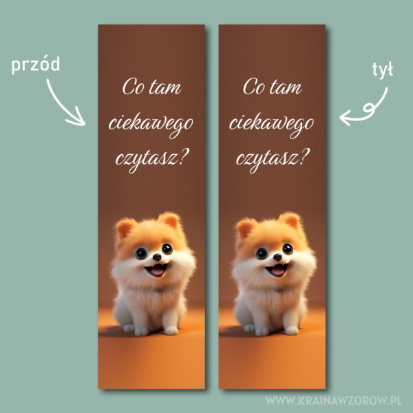 co-tam-ciekawego-czytasz-zakladka-krainawzorow-pl.jpg