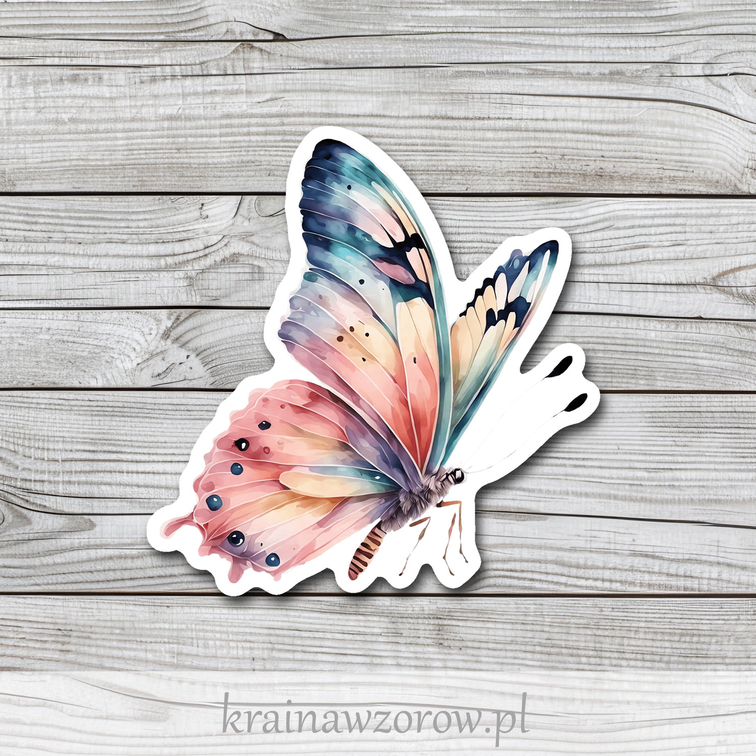 0129-motyl-3-naklejka-pojedyncze-krainawzorow-pl 0129-motyl-3-naklejka-pojedyncze-krainawzorow-pl.jpg