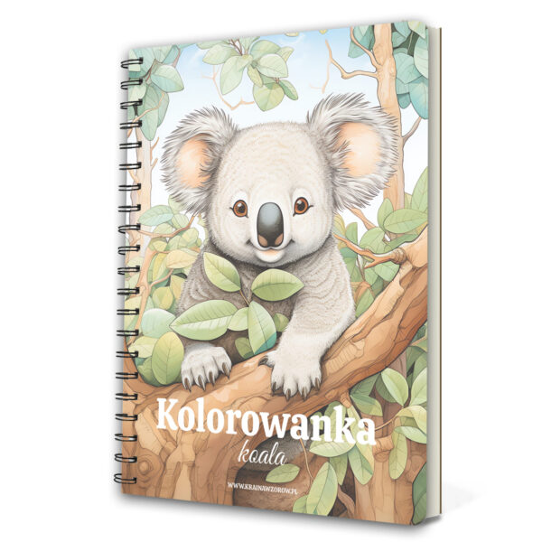kolorowanka-na-spirali-koala-krainawzorow-pl-003a