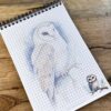 notes-na-spirali-sowa-50-kartek-krainawzorow-pl-04