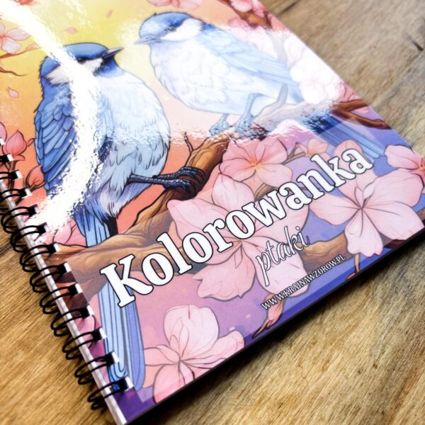 kolorowanka-na-spirali-ptaki-krainawzorow-pl-05 kolorowanka-na-spirali-ptaki-krainawzorow-pl-05.jpg