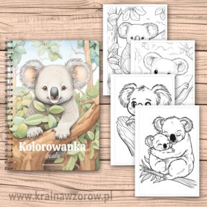Koala • kolorowanka na spirali