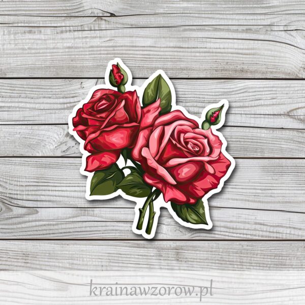 0139-roze-czerwone-1-naklejka-pojedyncze-krainawzorow-pl